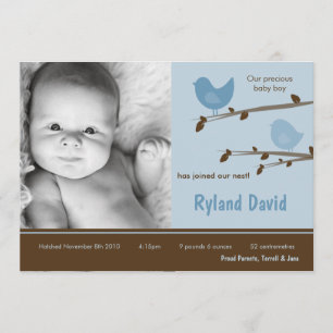 5x7 Baby Boy Blue Birdsl Foto geboorteaankondiging Aankondiging