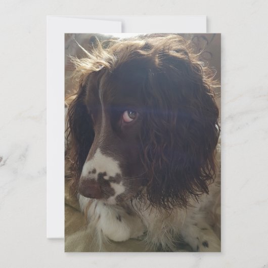 5x7 blanco verjaardagskaart kaart (Voorkant)