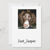 5x7 blanco verjaardagskaart kaart (Achterkant)