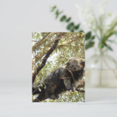 5x7 Briefkaart Sjabloon (Staand voorkant)