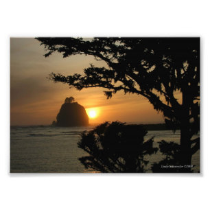 5X7 La Push, Washington Foto Afdruk