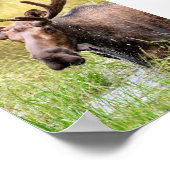 5x7 Poster papier (steen) (Hoek)