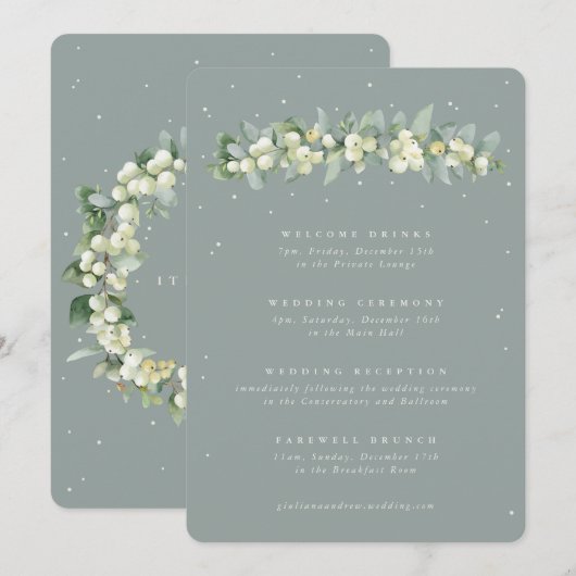 5x7 Programme de mariage à l'eucalyptus et neigeus (Devant / Derrière)