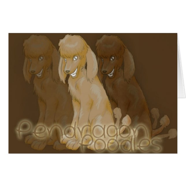 6 (Voorkant Horizontaal)