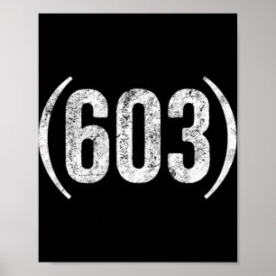 603 New Hampshire noodzaakgebiedcode Poster