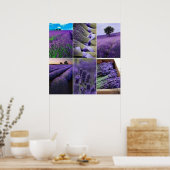 60.96x60.96cm, Lavande poster (mat) (Cuisine)