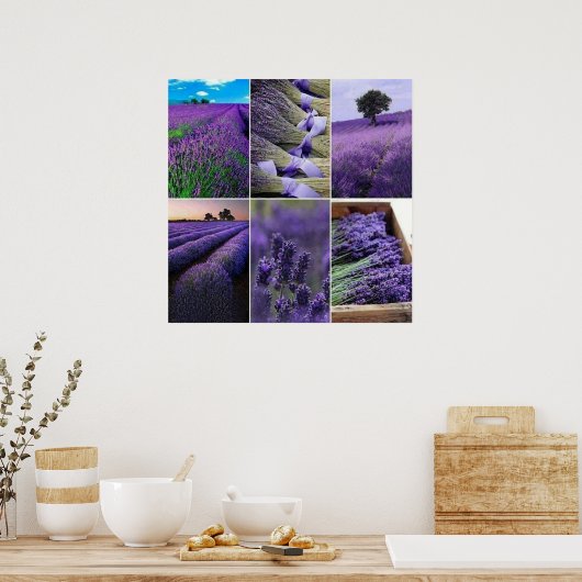 60.96x60.96cm, Lavande poster (mat) (Cuisine)