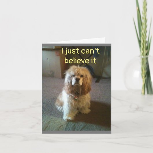 ***60*** IK GELOOF HET NIET KAART (Voorkant)