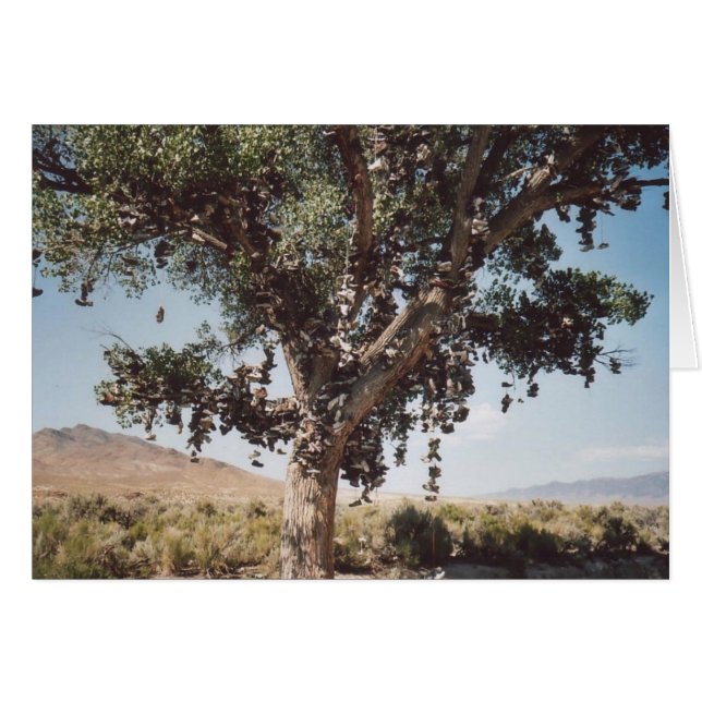 60. Shoe Tree (Nevada) (Voorkant Horizontaal)