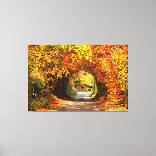 60 x 40 inch Canvas Yellow Bog Kilcullen Afdruk (Voorkant)