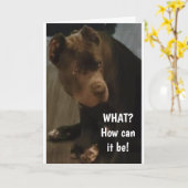 *60e ANNIVERSAIRE* DE CETTE CARTE CANE CORSO (Fleur jaune)