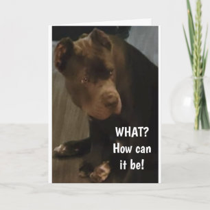 *60e BIRTHDAY* UIT DEZE CANE CORSO-Kaart Kaart