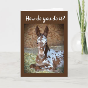 **60ste VERJAARDAG** HUMOR VAN EEN SCHATTIGEE COLT Kaart