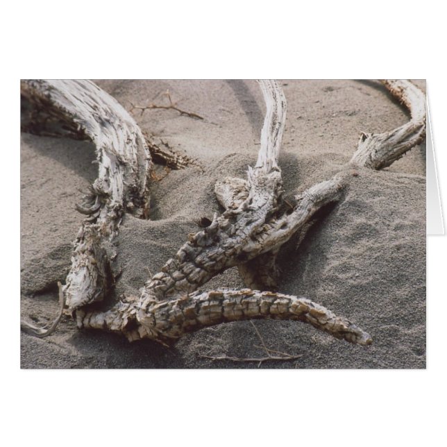 61. Rack Antler en bois (Devant horizontal)