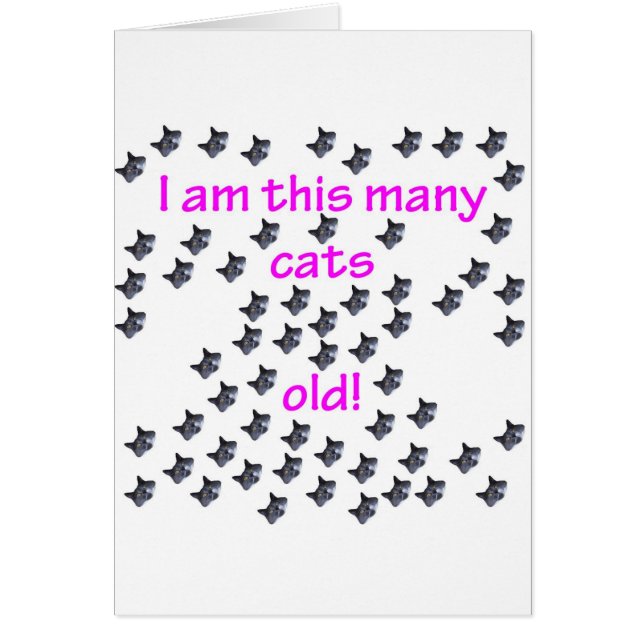 61 têtes de chat vieilles (Devant)