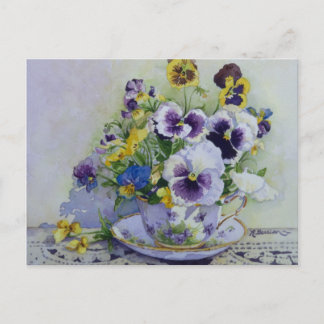6300 Pansies in het Briefkaart Teacup