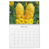 637, calendrier des 2009 Caraïbe (Mar 2026)