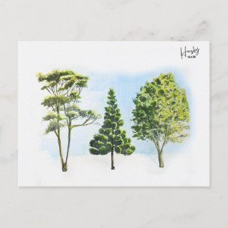63; Australische bomen Briefkaart