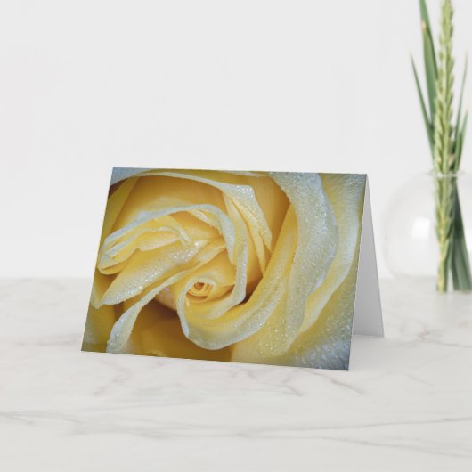 6557-Gele roos met dauw Kaart (Voorkant)