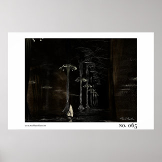 65 POSTER
