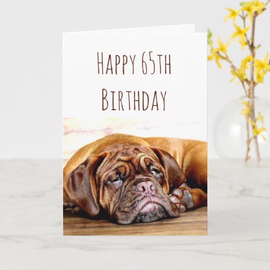 65e verjaardag Zad Dog Blijf pooitief Humor Kaart (Gele Bloem)