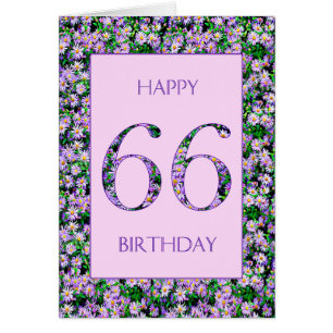 66e anniversaire de marguerites violettes