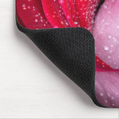 6727-Rode, Witte en Roze Roos Muismat (Hoek)