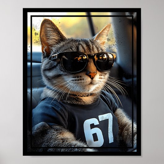 67 And Still Cool Funny Birthday Meme Cat  Poster (Voorkant)