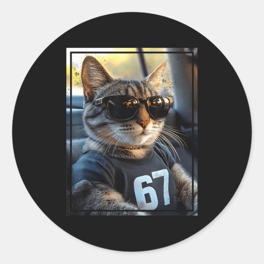 67 And Still Cool Funny Birthday Meme Cat  Ronde Sticker (Voorkant)