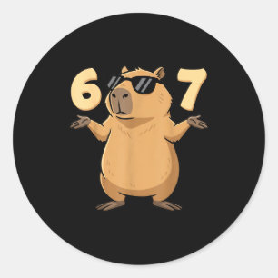67 Capybara Meme 6 7 Esthetiek voor kinderen Jonge Ronde Sticker