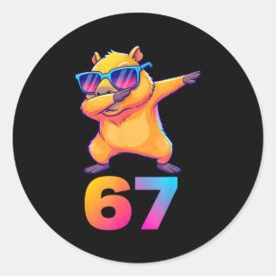 67 Capybara Zes Zeven Meme Dier Koele Capybara Da Ronde Sticker