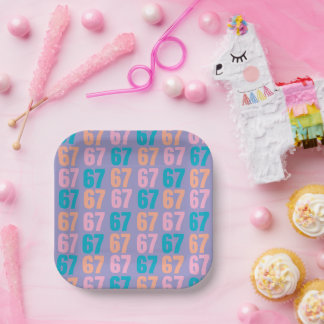 67 Disposable Plates Papieren Bordje