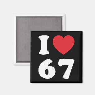 67 Funny Meme I Love Six Seven 67th Birthday Magneet