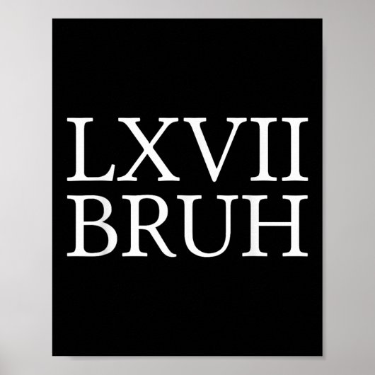 67 Geschiedenis Meme Zes Zeven Bruh Grappige Gesch Poster (Voorkant)