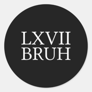67 Geschiedenis Meme Zes Zeven Bruh Grappige Gesch Ronde Sticker