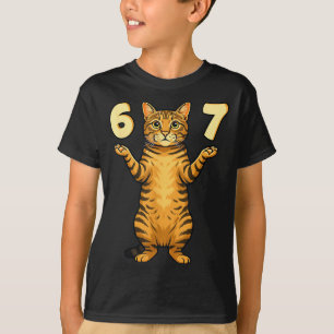 67 kattenmeme grappige Gen Alpha-slanghumor voor t T-shirt