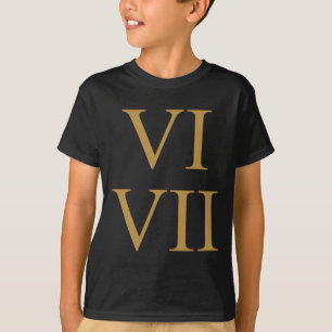 67 Meme 6 7 Zes Zeven Latijns Nummer Romeinse Cijf T-shirt