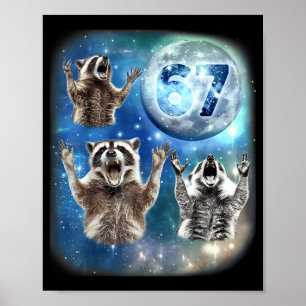 67 Meme Drie Wasbeer Huilend naar de Maan 67 Poster
