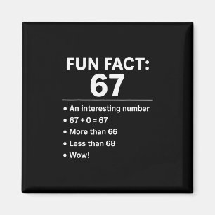 67 Meme Leuk Feit - Six Seven Gen Alpha Z Grappig Magneet