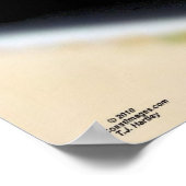 69 CHEVELLE POSTER (Coin)