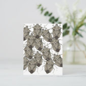 6-07-14 stinktbugs rev.png briefkaart (Staand voorkant)