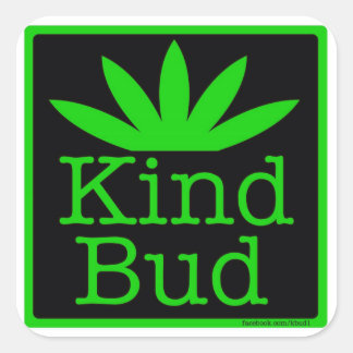 6 - 3"vierkante Kind Bud Stickers