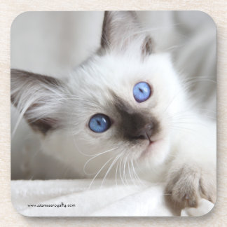 6 Balinese harde onderzetters met kurk achterzijde