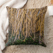 6 déraciné dans un oreiller à lancer série (Couverture)