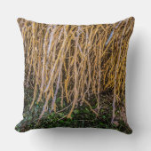 6 déraciné dans un oreiller à lancer série (Recto)