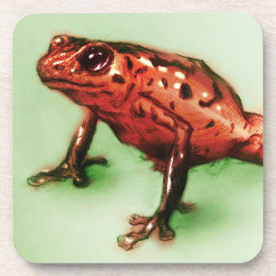 6 Dessous de verre de grenouille rouge, croquis an