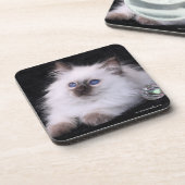 6 dessous de verre en plastique durs de Balinese (Côté gauche)