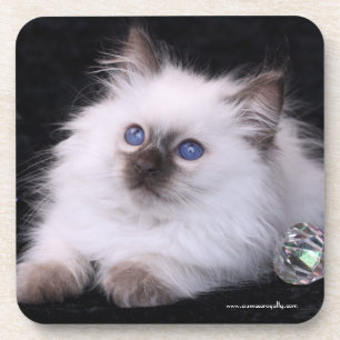 6 dessous de verre en plastique durs de Balinese