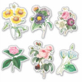 6 Fleurs magnifiques pour Sticker Scrapbooking (Devant)