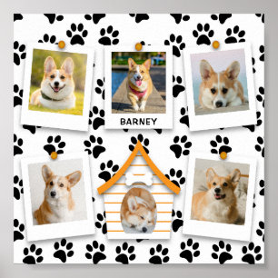 6 Foto Collage Name Dog House Paw Prins Poster